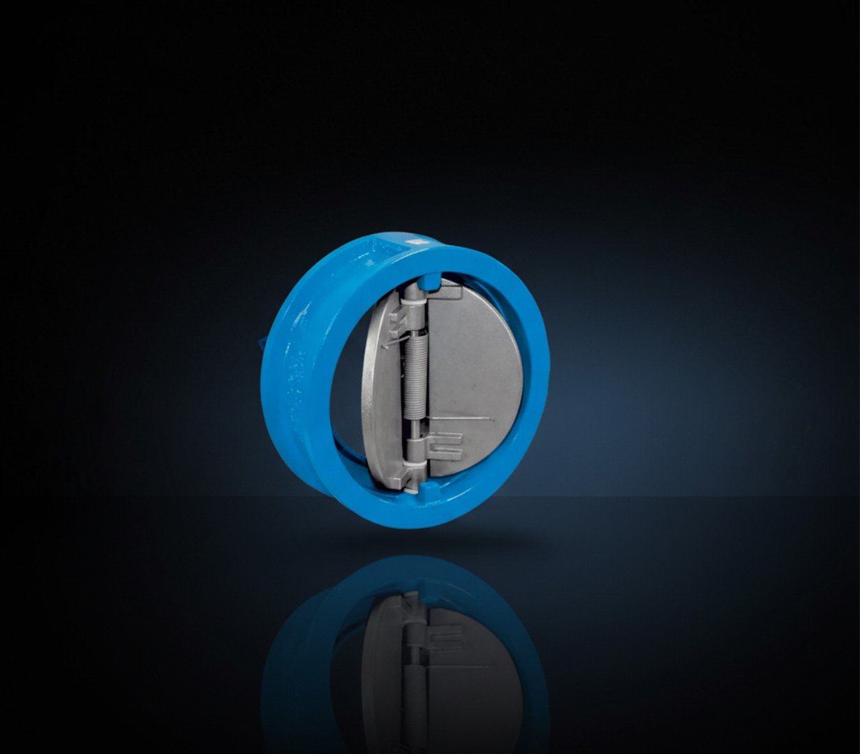 Dual Plate Check Valve